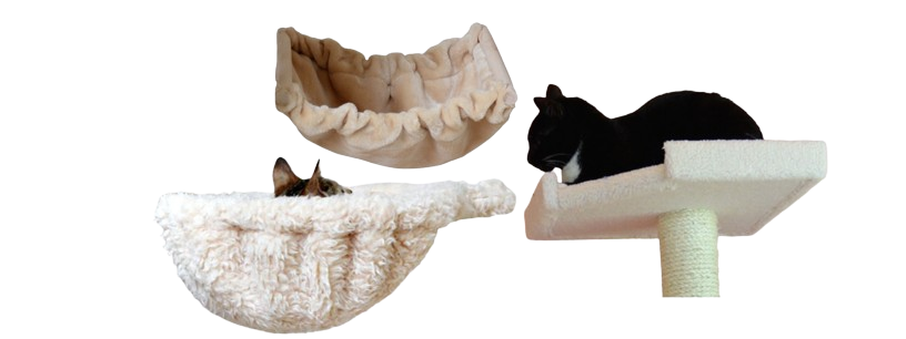 Accessories & Parts