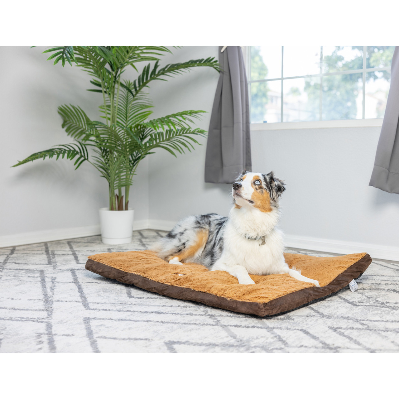 Large Dog Mat M05HKF/ZSL Armarkat Online Store