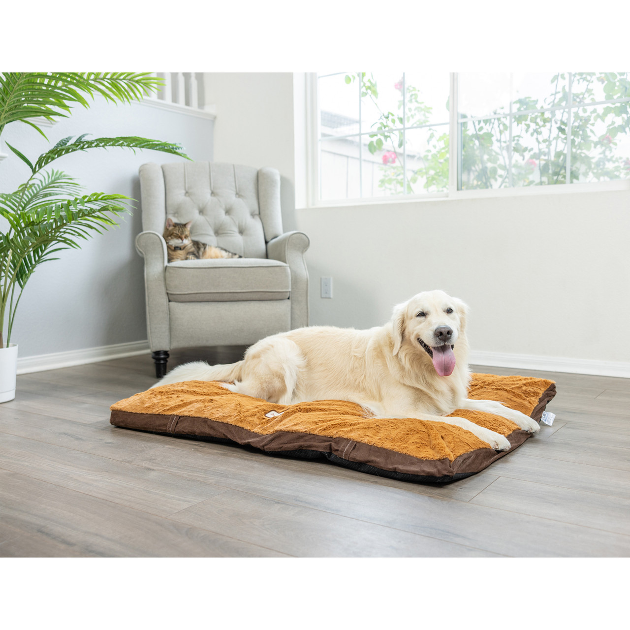 Extra Large Dog Mat M05HKF/ZS-XL - Armarkat - Cat Trees & Cat