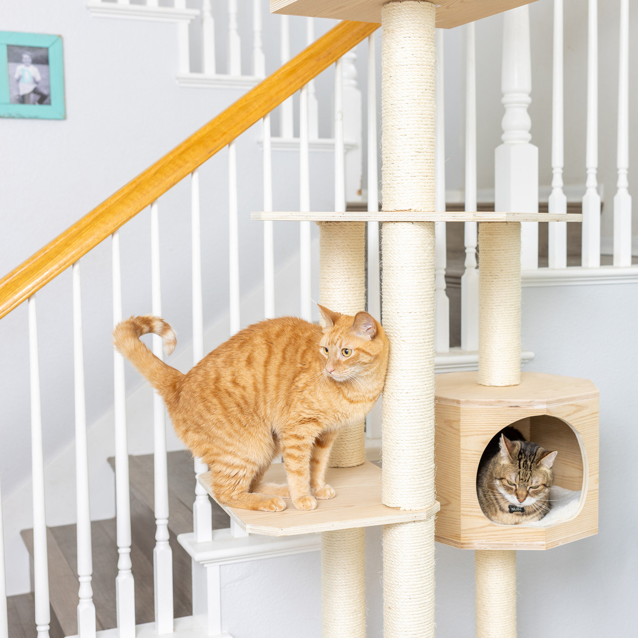 Armarkat Premium Cat Tree S8502