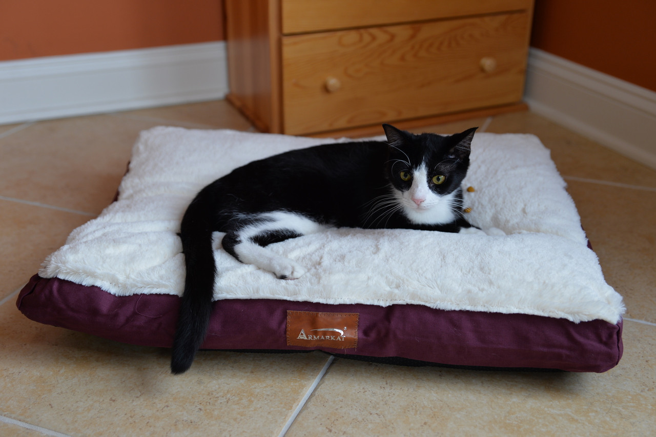 extra-extra-large-dog-mat-m02hjh-mb-xxl-armarkat-online-store
