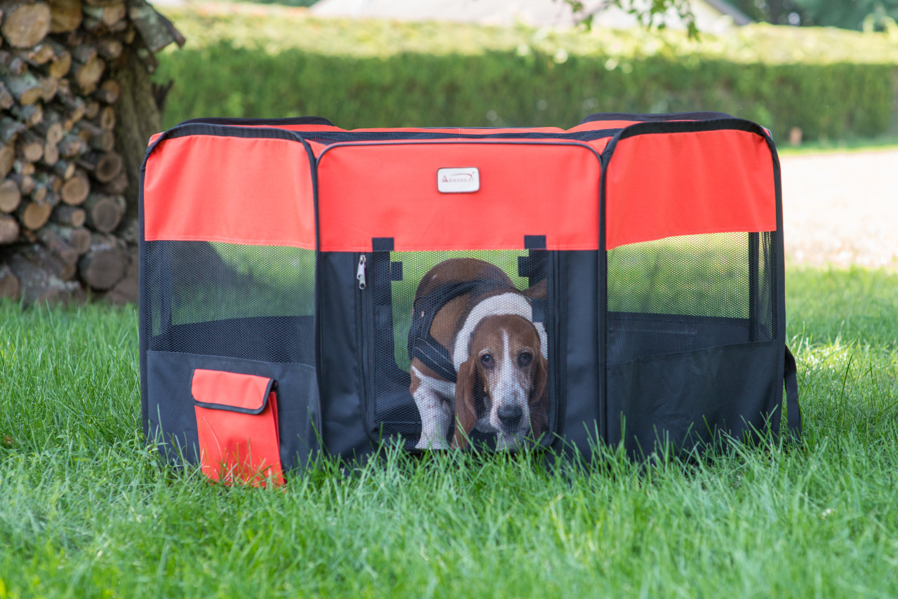 xl dog playpen