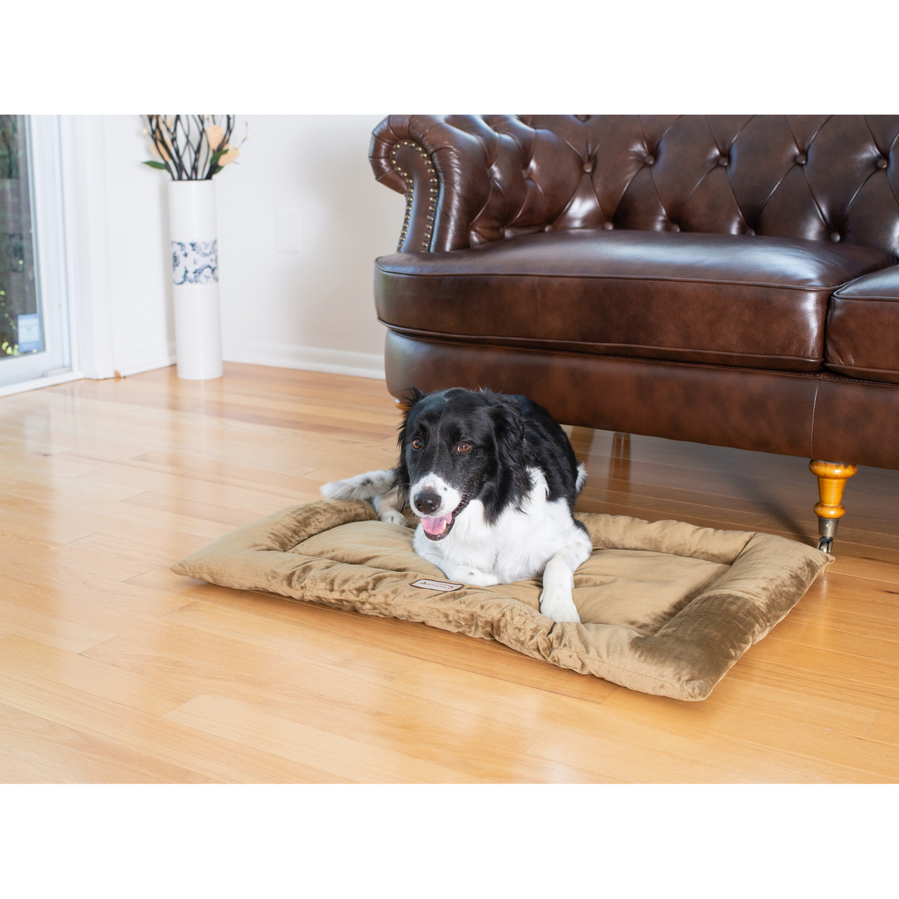 Large Dog Mat M01CHLL Armarkat Online Store