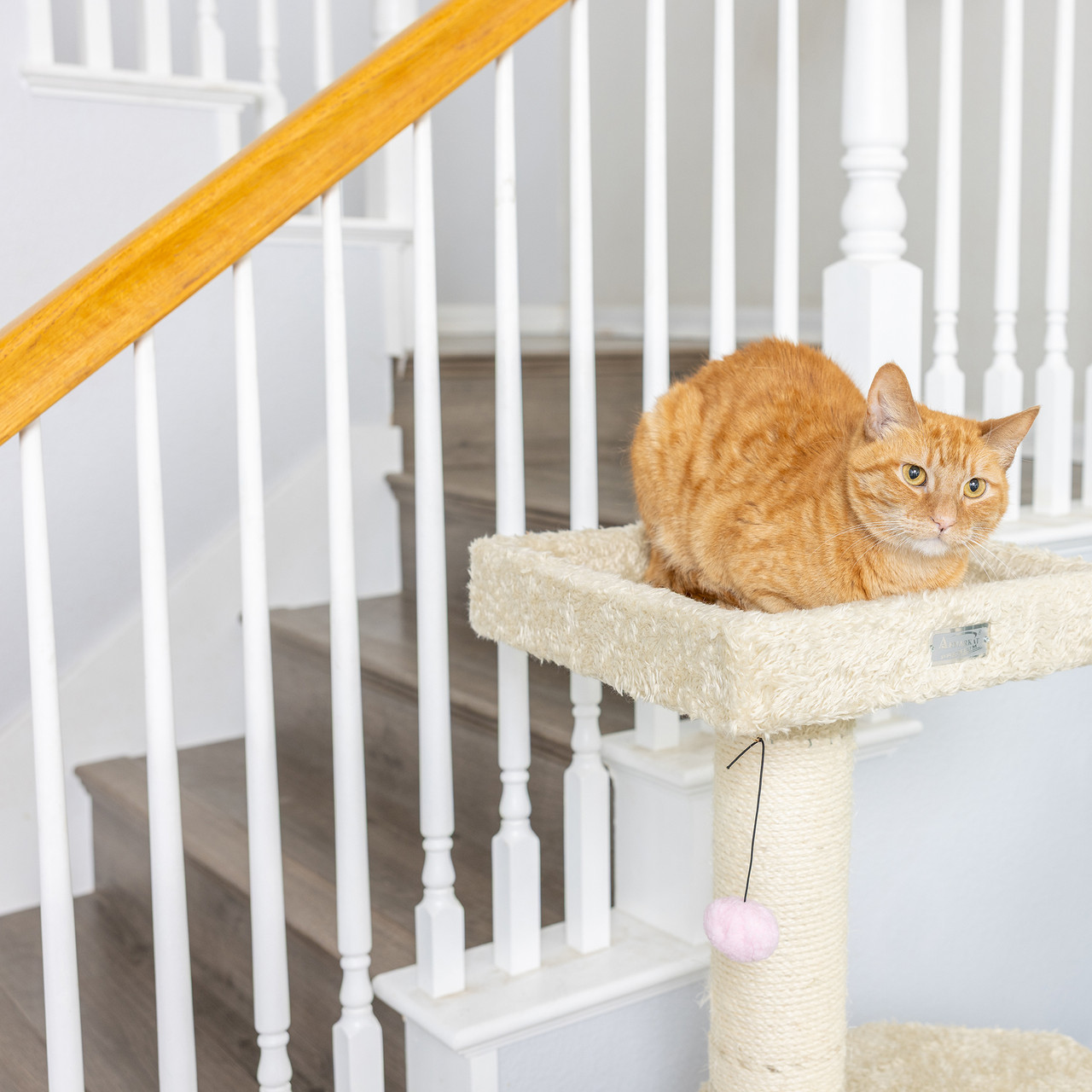 Armarkat Classic Cat Tree X5703