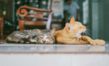 All about Bonded Pairs