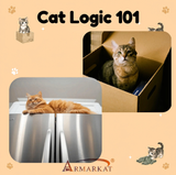 Cat Logic 101