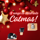 3 Ways to Celebrate Catmas