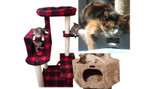 How the Holiday Season Could Be Stressing Out Your Pet