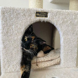 Why Armarkat cat and dog products are the best