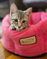 Armarkat Pet Beds