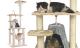 ​How to Comfort Your Aging Cat