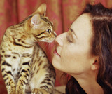 Why do cats ‘boop’?