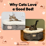 Why Cats Love a Good Bed!