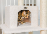 How to Choose the Right Cat Tree Height for Your Home
