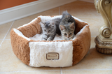 The New Cat Parent Starter Pack!