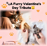 A Furry Valentine’s Day Tribute
