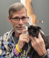 Online rescue cat awareness