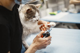 Nailed it! Nail care for cats