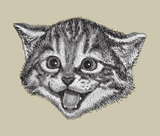 Is Your Cat Really Happy?