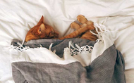 ​Do Cats Really Need This Much Sleep?