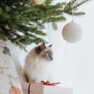 The Christmas Tree: Your Cat’s Holiday Nemesis