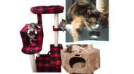 How the Holiday Season Could Be Stressing Out Your Pet