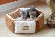 Three ESSENTIAL Tips For NEW Cat Owners!