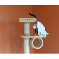 Cat Trees for a Cause: Holiday Giving for Felines in Need