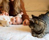 Purrs and Parenthood: Caring for Cats and a New Baby