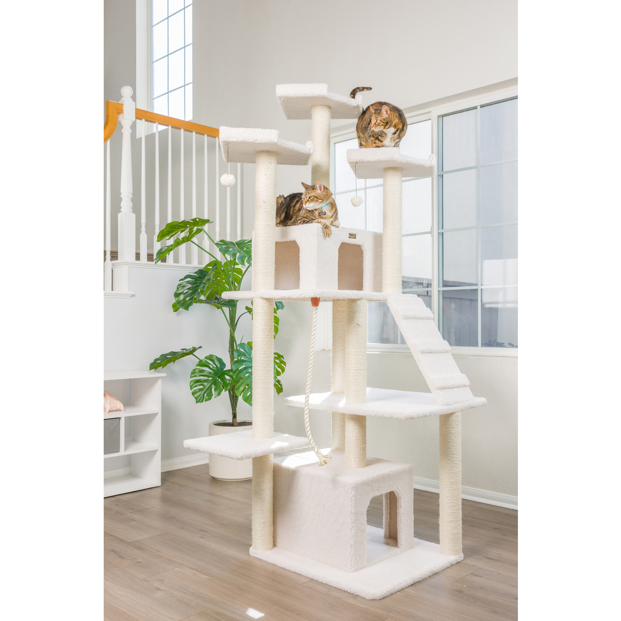 Classic Cat Tree B8201