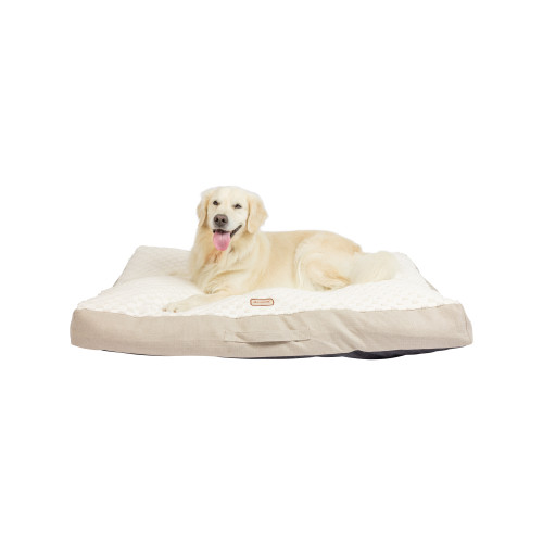 what size should a labrador bed be