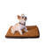 Small Memory Foam Dog Mat M06HKF/ZS-S (FINAL SALE)