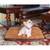 Small Memory Foam Dog Mat M06HKF/ZS-S (FINAL SALE)