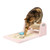 Premium Cat Tree X0602