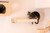 Armarkat Wall Series: Scratching Post W1907D
