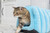 Armarkat Cat Bed Model C90CTL Tube Shape