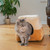 Armarkat Cat Bed C07CZS/MH