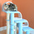 Classic Cat Tree B3803