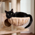 Armarkat Royal Perch Cat Mansion A8402