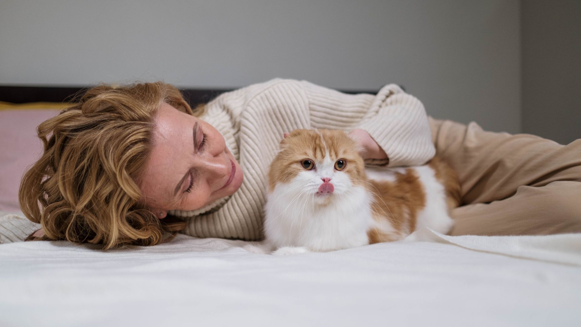 the-best-products-for-new-cat-owners-starting-off-on-the-right-paw