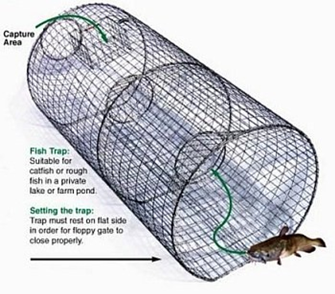 Catfish fish trap Clearance