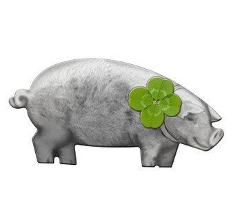 Shamrock PIG Unique shaped Silver Coin Niue 2017