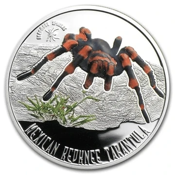 Mexican Redknee Tarantula ~ Venomous Spiders - 5$ Cook Island Silver Coin 201