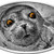 Baby Seal with Tiger-gem-eyes Ultra High Relief Silver Coin 2$ Niue 2018