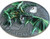GREEN DRAGON Mythical Creatures 2 Oz Silver Coin 10$ Palau 2019