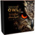 LONG EARED OWL  2 Oz Silver with Gold Gilding Coin $5 Niue 2019 LONG EARED OWL  2 Oz Silver with Gold Gilding Coin $5 Niue 2019