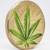 Famous Leaf 1 oz Silver Concave Proof Gilded Coin Benin 2021