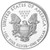 2015 1 oz American Silver Eagles Coin