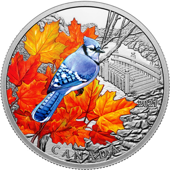 BLUE JAY Colorful Birds 1 oz. Silver Proof Coin $20 Canada 2021