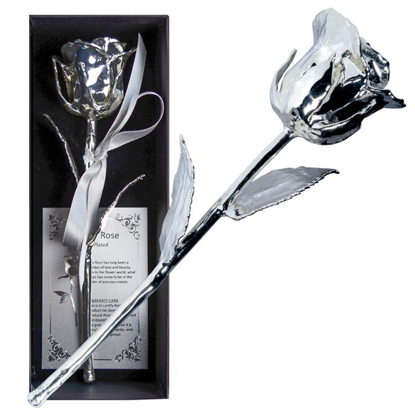 ETERNAL LOVE - Natural Rose Silver plated 16 cm - 152 g in Gift Box